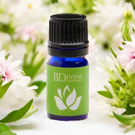 Revive Essential Oil Diffuser Blend