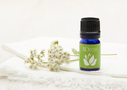 Revive Essential Oil Diffuser Blend