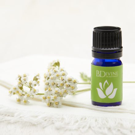 Revive Essential Oil Diffuser Blend