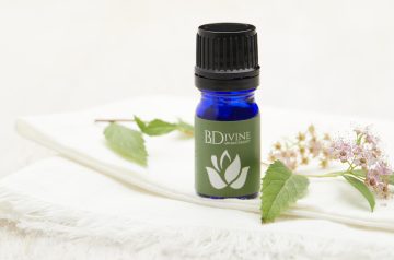 Forest Essential Oil Diffuser Blend