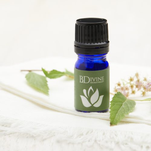 Forest Essential Oil Diffuser Blend