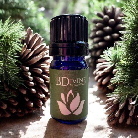 Forest Essential Oil Diffuser Blend