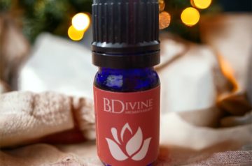 Spicy Mistletoe Diffuser Blend