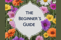 A- Beginner's-Guide-to-Essential-Oils-and-Aromatherapy